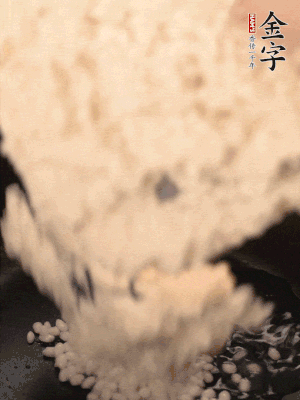 浸泡半天的糯米電飯鍋煮熟。