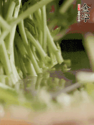 新鮮豌豆苗割下洗凈。